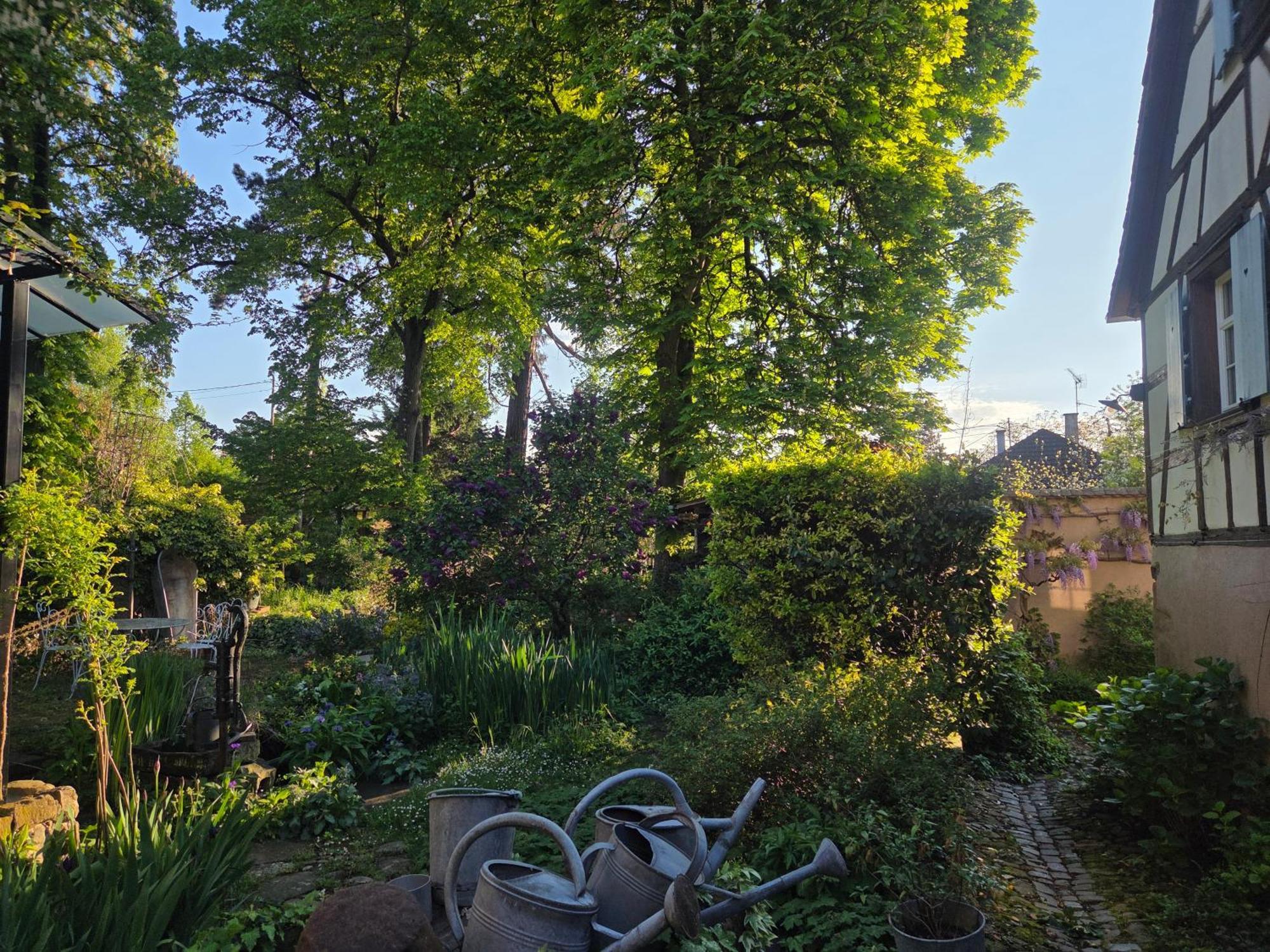 Le Temps Des Cigognes Vila Barr Exterior foto