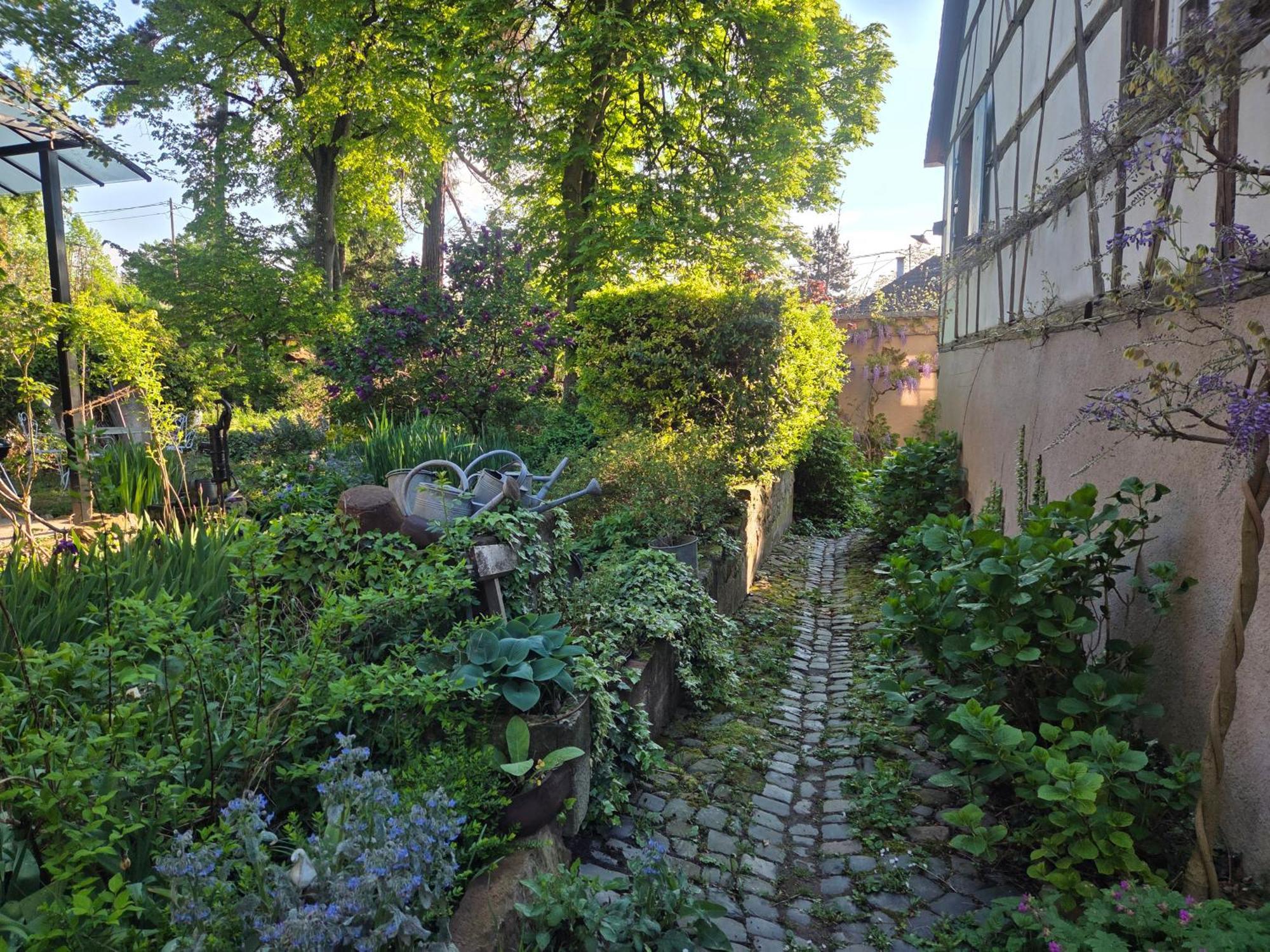 Le Temps Des Cigognes Vila Barr Exterior foto
