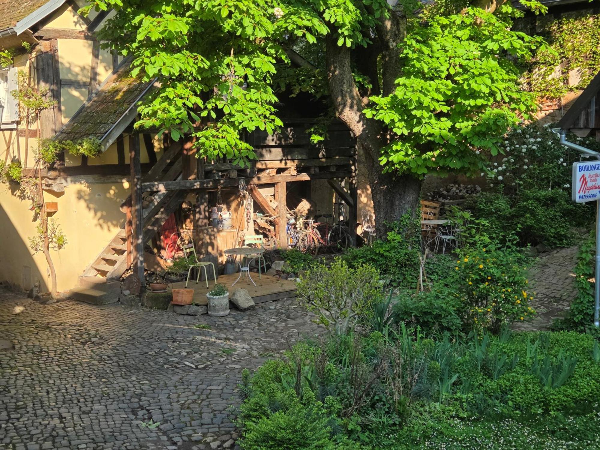 Le Temps Des Cigognes Vila Barr Exterior foto